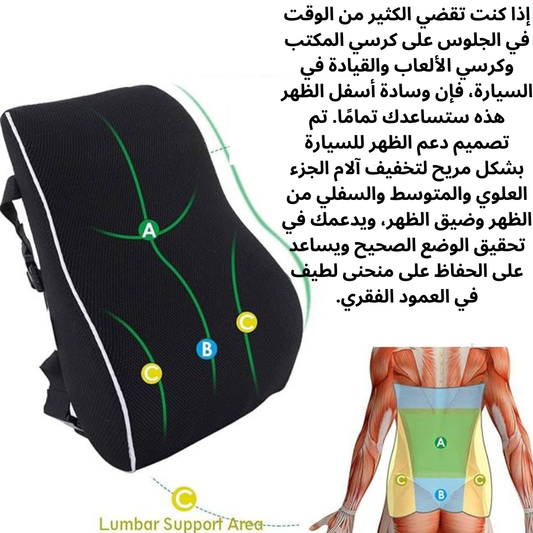 Lumbar Support Pillow